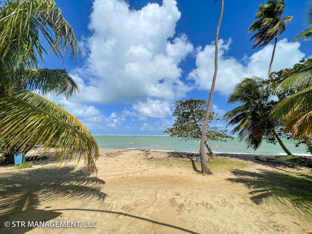 Upscale Condo At Aquatika Beach & Vacation Villas Loiza Экстерьер фото