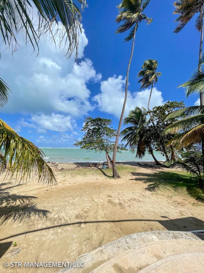 Upscale Condo At Aquatika Beach & Vacation Villas Loiza Экстерьер фото